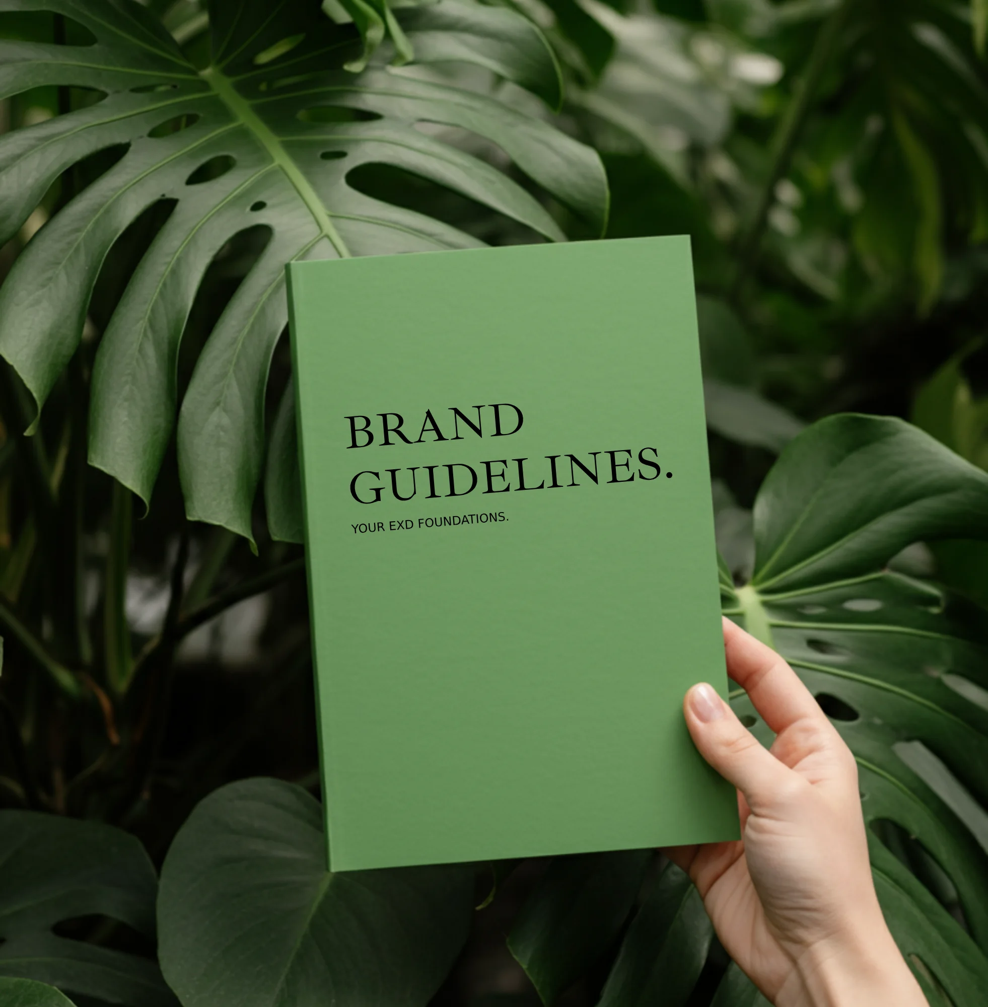 Brand guidelines and identity system